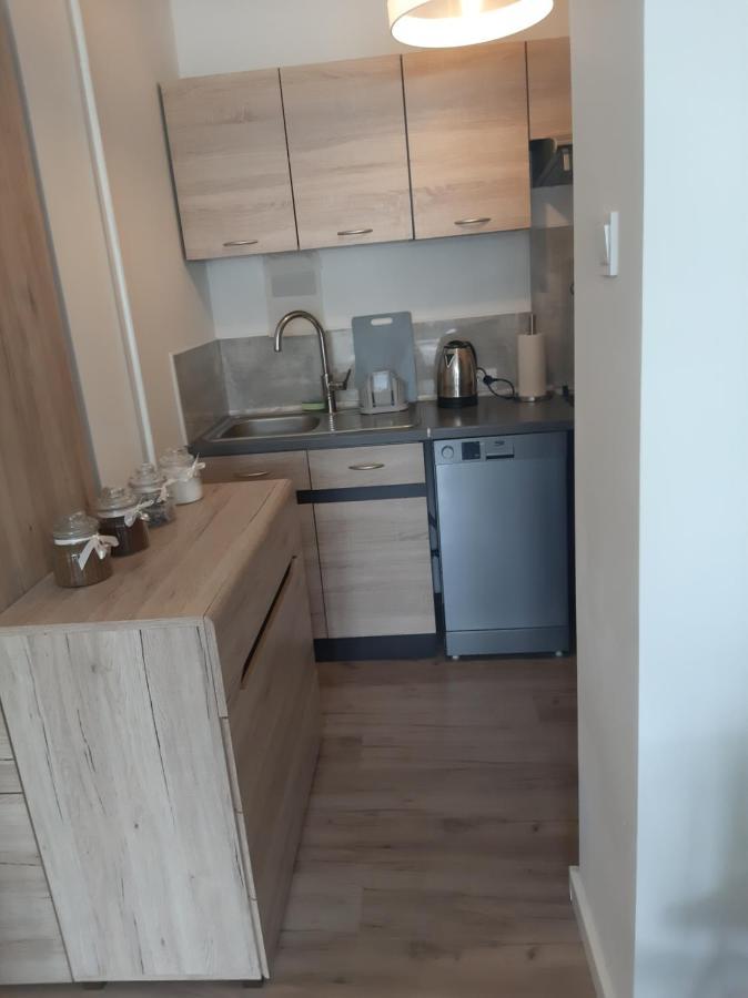 Apartmán Apartament Komfortowy - W Pelni Wyposazony - Spaceapart Jelení Hora Exteriér fotografie